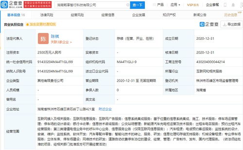 北京智行戰略布局湖南，投資新公司搶占信息系統集成服務市場